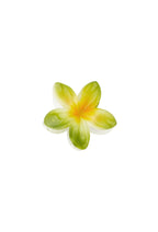 Hawaii Haarklammer klein